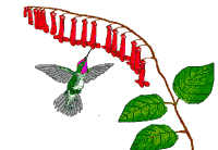 For Wild Birds and Gardeners Logo