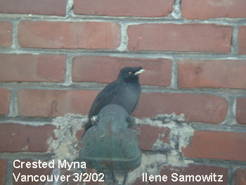 Photo used with permission